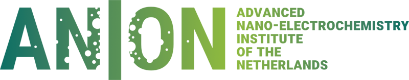 ANION logo